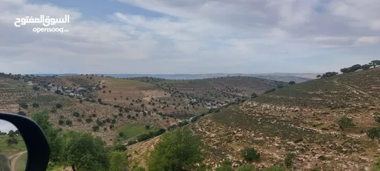 6 الكمشه حوض المكمان 3405 م على شارعين اطلاله شماليه غربيه رائعه مستصلحه ومسوره قرب الخدمات