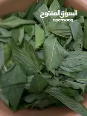  2 ملوخيه ورق وملوخيه ناشفه مفروكه وناعمه بدون عيدان مغسله ومنقبه وجاهزه لطبخ