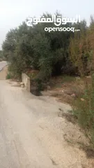  12 ارض على طريق بلعا دير الغصون قبل مفرق اكتابا