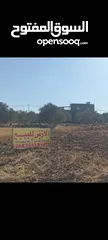 1 ارض مميزه للبيع مقابل شارع الميه الحزام الدائري اربد