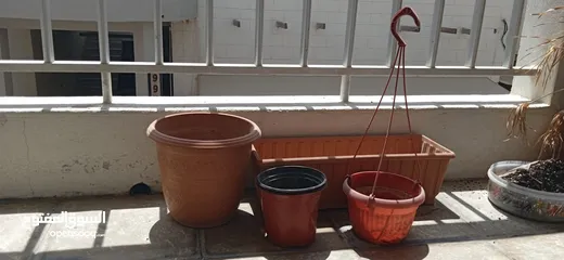  1 plant pots in 4BD for sale