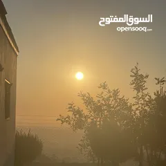  7 ارض للبيع 1100م منطقه الصره