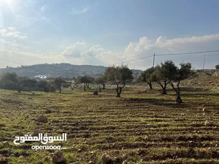  1 اجمل قطعة ارض للبيع في جرش أم قنطره حوض المحمر ثنين دنم مقابل مطعم ريف المزرعه