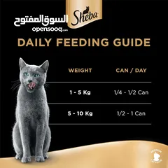  1 طعام للقطط cat food