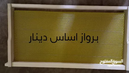  4 خلايا نحل بمستويات مختلفة طرود و خلايا منتجة و أدوات النحالين