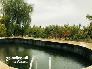  11 garden, حديقة