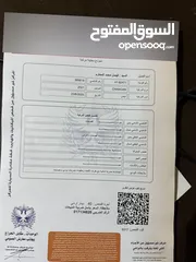 8 شنجان اي ستار للبيع 2021