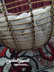  3 كرسي هزاز مصنوع من المعدن  انهو جيدددددددددددددد