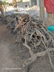  30 تشكيلة حطب للبيع