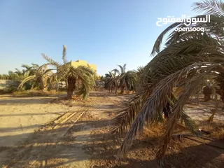  8 ارض للبيع من المالك مباشرة