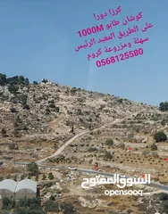  1 دونم أرض للبيع في كرزا /دورا