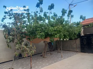  2 . بيت للبيع للجادين فقط