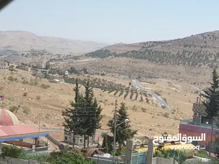  7 خمس دونمات في بيرين على شارعين بسعر مغري لفيلا او مزرعة