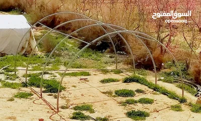  4 بيوت زراعية منزليه