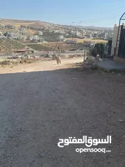  3 كلب ذكر للبيع