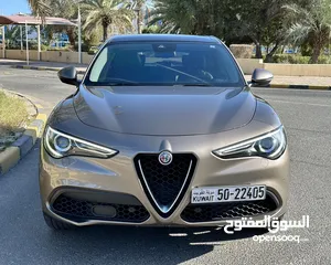  11 Stelvio 2018 118km only perfect conditions fully loaded regular agency service