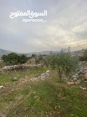  4 ارض للبيع نابلس_طلوزه