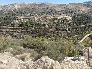  2 ارض كوشان طابو منطقة كريسه
