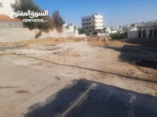  3 ارض للبيع  869 م سكن ب في الجويده