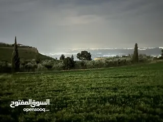  3 ارض للبيع مطلة ع جبال فلسطين