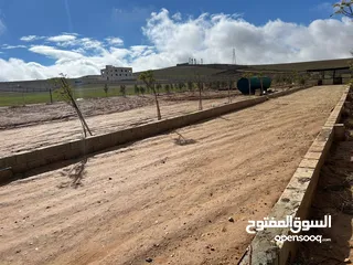  4 مزرعه زيتون منطقه قعفور