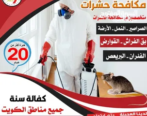  9 الشركة الدولية لمكافحة الحشرات بجميع مناطق الكويت