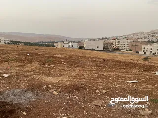  5 ارض للبيع في شفا بدران حوض المقرن