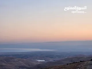  8 ارض في منطقة عراق الامير تحديدا ام المدارس