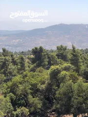  2 للبيع قطعه ارض مثالية في ماحص مميزة جدا يوجد فيها ينابيع مياه