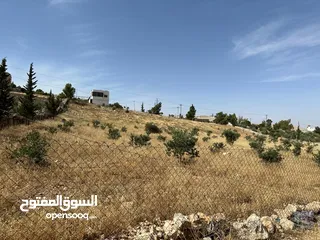  3 ارض 3400م2 للبيع في صروت حوض المرح الأصفر إطلالة مميزة حولها مزارع