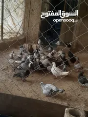  2 خم حمام للبيع انواع احجام