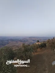  12 10 دنمات بأجمل اطلالة خلابة على سد الملك طلال