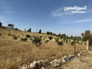  5 ارض 3400م2 للبيع في صروت حوض المرح الأصفر إطلالة مميزة حولها مزارع