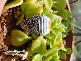  1 خاتم فضة 990صياغة عارف