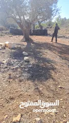  6 قطعة ارض للبيع