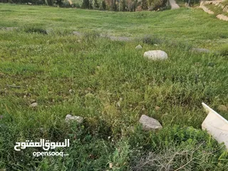  4 قطعه ارض للبيع _ تل الرمان _ شمال عمان