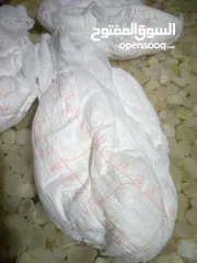  8 فوط صحيه رجال كبار السن للعلم مجانا صدقه جاريه لمن لا يستطيع الشراء