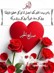  1 قطعة ارض للبيع جامعة فيلادلفيا