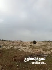  15 ارض سكنيه قرب مثلث حور فوعرا للبيع بسعر مغري