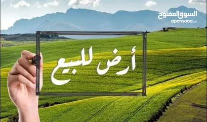  2 فرصة استثمارية ذهبية – أرض للبيع في روجيب نابلس تصلح لسكن او لمشروع تجاري تصنيف B متوفر كافة الخدمات