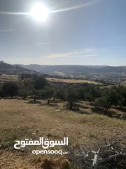  2 قطعه ارض مميزه في صافوط اراضي شمال عمان