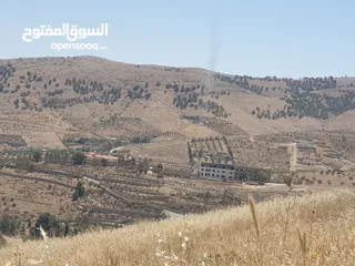  3 خمس دونمات في بيرين على شارعين بسعر مغري لفيلا او مزرعة