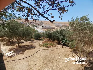  6 منزل بيت شقة مستقل للبيع مع حديقة وكراج وشرفة الزرقاء ضاحية البستان