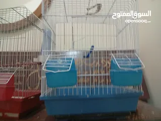  2 قفصين واحد جديد و تاني مستعمل
