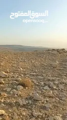  4 ارض في ناعور إطلالة ساحرة على البحر الميت
