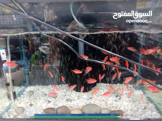  15 مجموعه اغراض للبيع