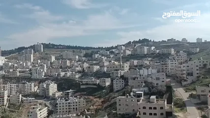  8 حسام كلبونه