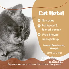  2 Cat Hotel Boarding / فندقه للقطط