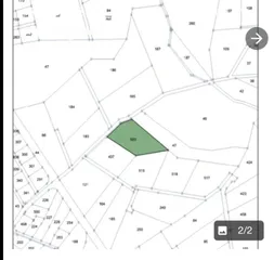  2 ارض استثمارية -سكن اخضر=وبطريقها  الى التنظيم ا -اراضى السلط ضاحية الزهور الخاخه -المحكمه
