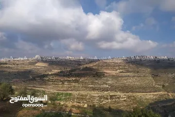  1 عدة اراضي للبيع في اماكن مختلفه في حلحول